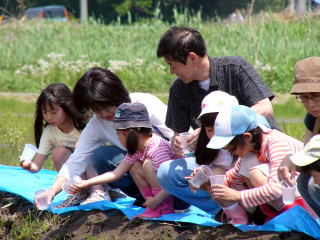 夏に会えることを祈って