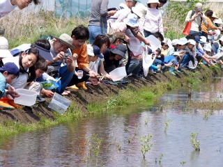 ことしは170人が参加