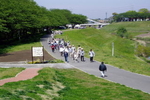 運河堤を歩く参加者たち
