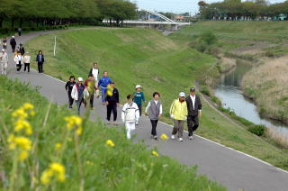 新緑の利根運河