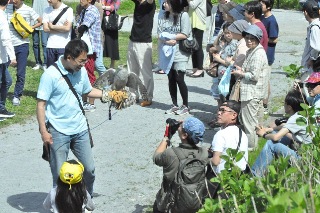猛禽類と触れ合う参加者の写真