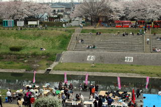 毎年、大勢の人で賑わう桜まつり