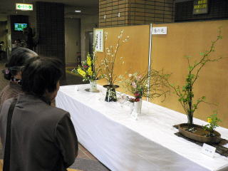 四季の花々展「春の光」