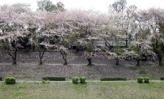 春の運河