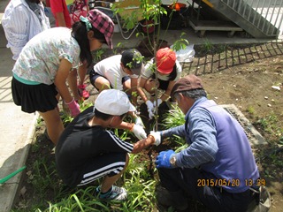 木を植える生徒の写真