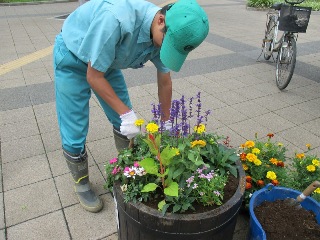 お花を植えている途中の写真