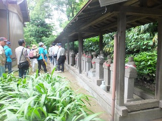 本土寺を散策する参加者の写真
