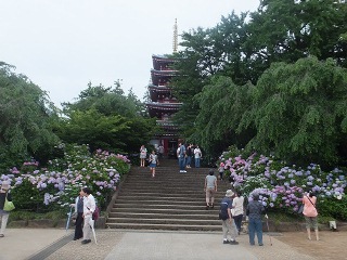 本土寺を遠目に見た写真