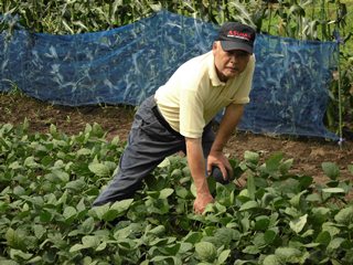 枝豆畑にいる鈴木さんの写真