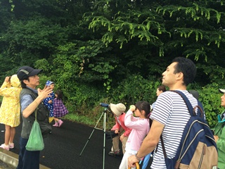 野鳥を観察する参加者の皆さんの写真
