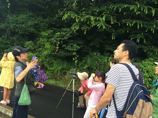 野鳥を観察する参加者の皆さんの写真