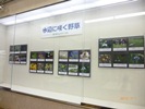 壁に掛けられた24点の展示の写真