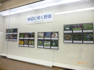 壁に展示された24点の作品の写真