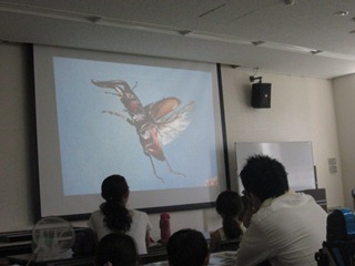 スクリーンに映し出された映像で昆虫の生態を学ぶ参加者の写真