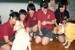 盲導犬と触れ合う高校生