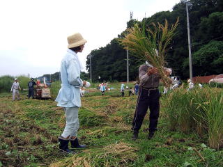 親たちも一生懸命に