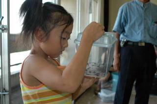 すず虫をじっと見つめる子ども