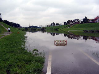 増水した利根運河