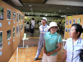 応募作品を見る市役所に訪れた市民