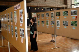 応募作品を見る市役所に訪れた市民