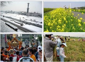 春の江戸川・夏祭り・秋の収穫・冬の利根運河