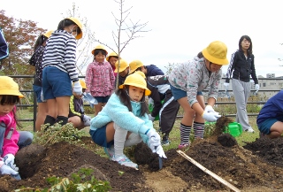 1人1人苗木を植えている写真