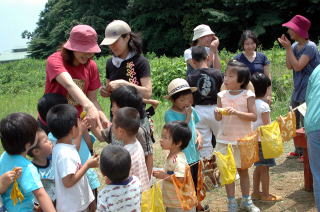 原っぱで楽しく遊ぶ