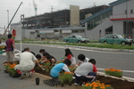 小学生が駅前通路に花を植えました