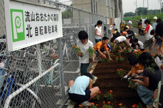 小学生が駅前通路に花を植えました