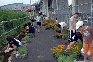 小学生が駅前通路に花を植えました