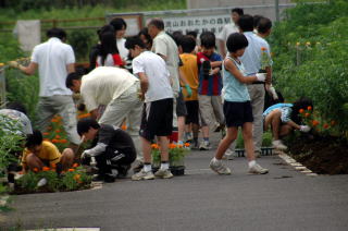 小学生が駅前通路に花を植えました