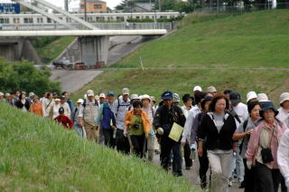 約500人の参加者が初夏の運河堤をウォーキング