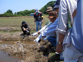 運河周辺の生態系にも注目