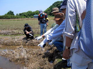 運河周辺の生態系にも注目