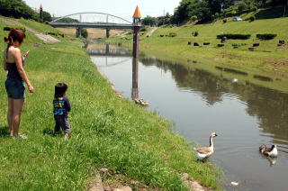 市民の憩いの場の利根運河水辺公園