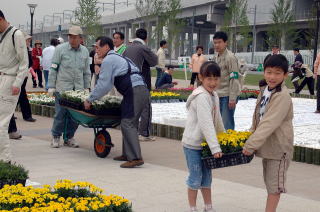 150人の市民が規則正しく花を並べて