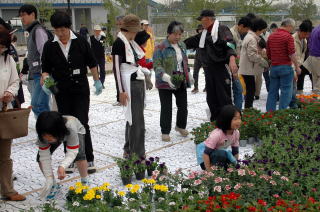 150人の市民が規則正しく花を並べて