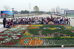 150人の市民が規則正しく花を並べて