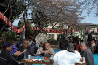 八木南団地でお花見会を楽しみました