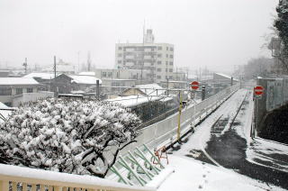 雪の流山駅