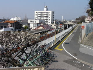 梅の咲いた3月の流山駅