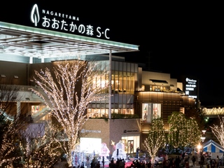 流山おおたかの森駅南口都市広場のイルミネーションの写真