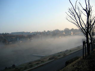 早朝の利根運河の朝もや