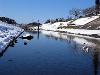 雪景色の利根運河