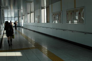 豊四季駅に小中学生の俳句展示