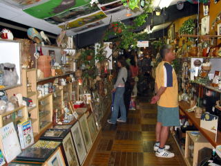 「ふくろうの森」にふくろう博物館