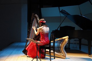 アルパを演奏している写真