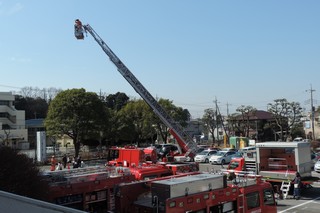 消防車両がずらりと並んでいる写真