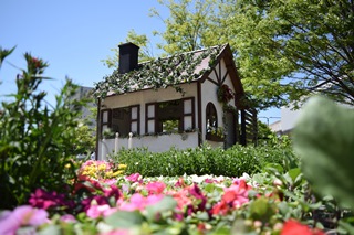 花絵に囲まれる小屋の写真