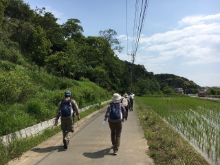 ウォーキングの様子